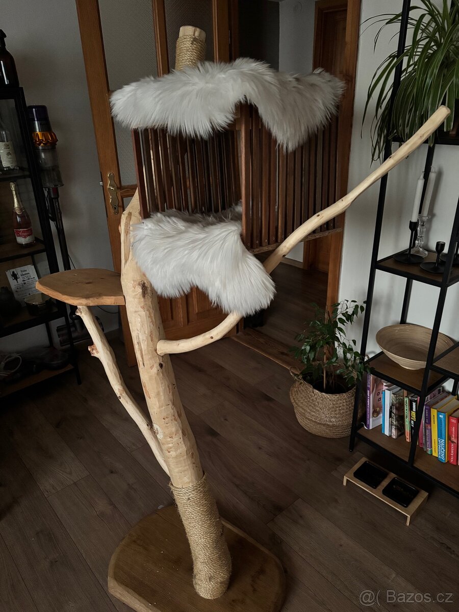 Kočičí strom