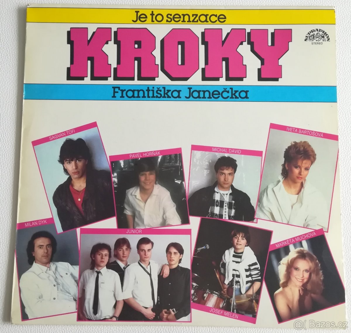 KROKY FRANTIŠKA JANEČKA