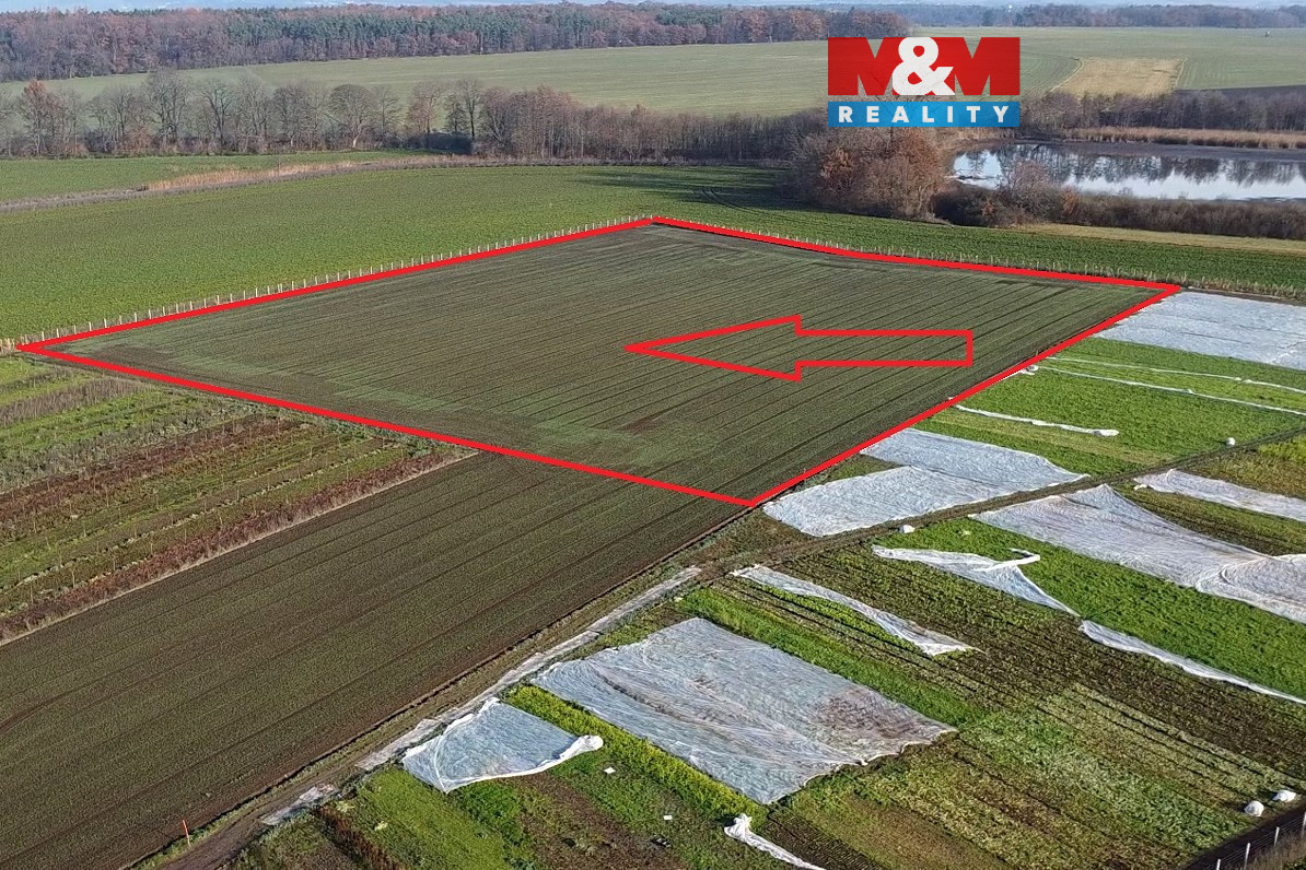 Prodej ovocného sadu, 9979 m², Nové Dvory u Kutné Hory