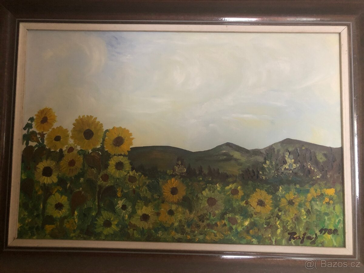 obraz Slunečnice Rafaj