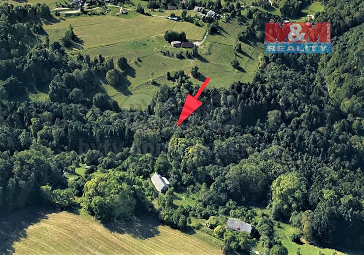 Prodej lesa, 2062 m², Koberovy
