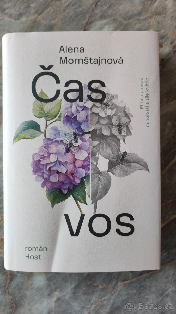 Čas vos