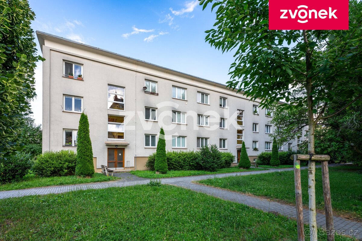 2+1 M. Knesla, žádaná lokalita