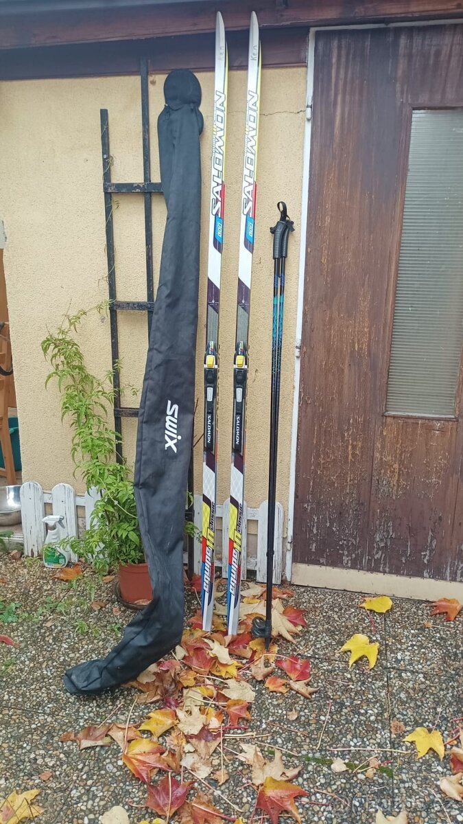 Běžky Salomon 200cm + Hole