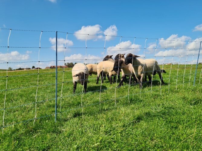 Síť na ovce a proti vlkům 122 cm dvojitý hrot