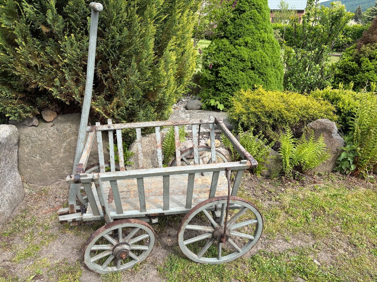 Starožitný žebřiňák