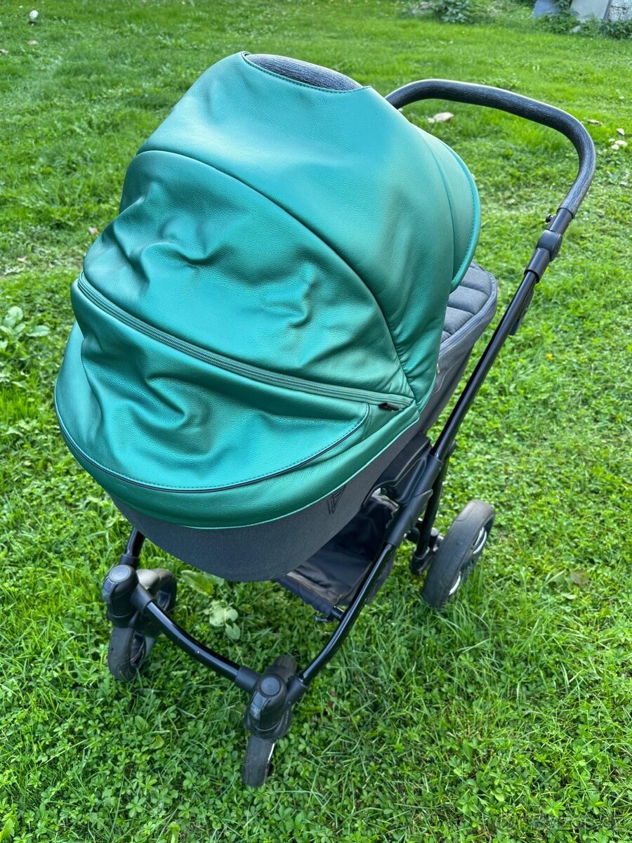Venicci Valdi Green