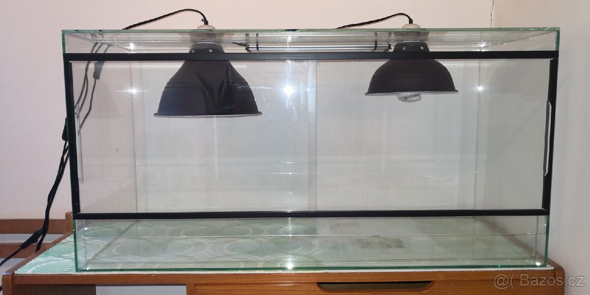 Terarium pro agamy