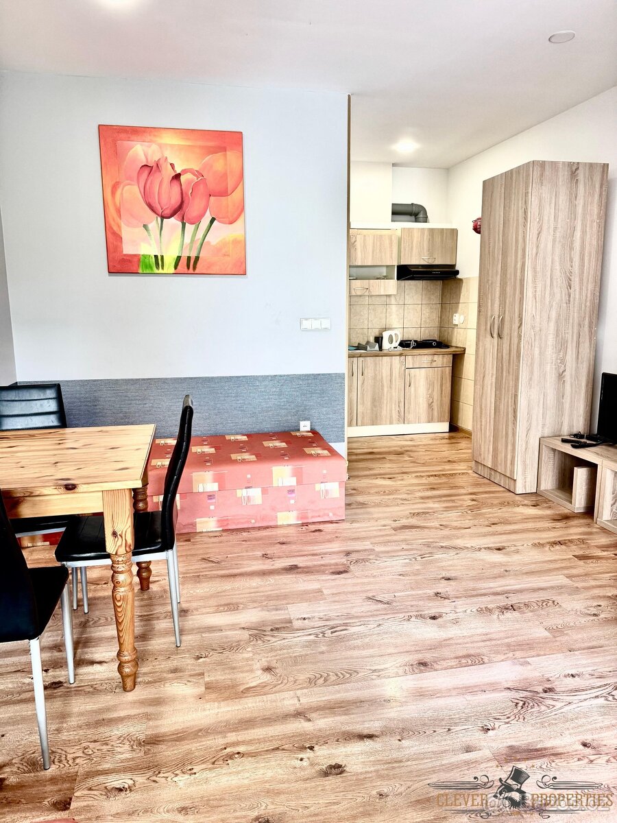 Pronájem bytu 1+kk 28 m2 - Žďár nad Sázavou, ev.č. 00840