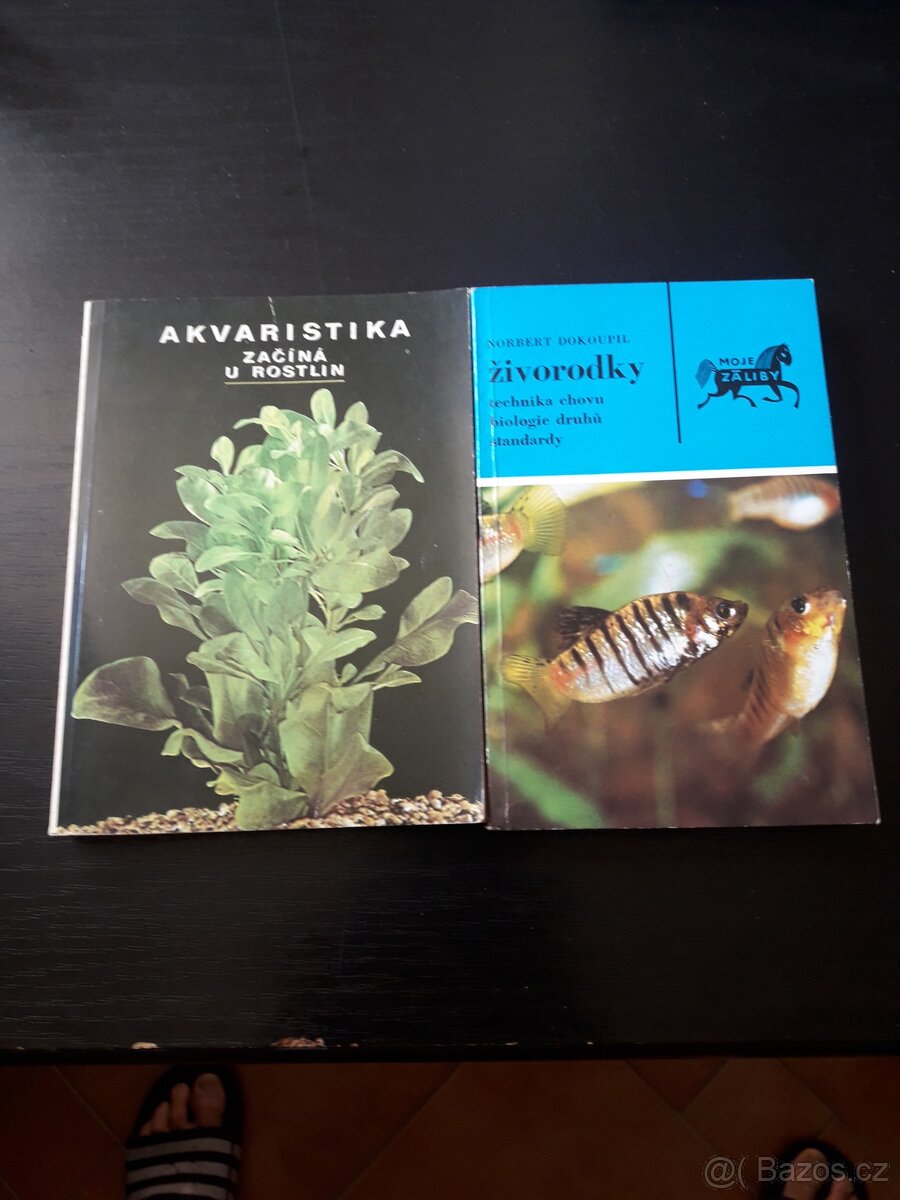 Akvaristika