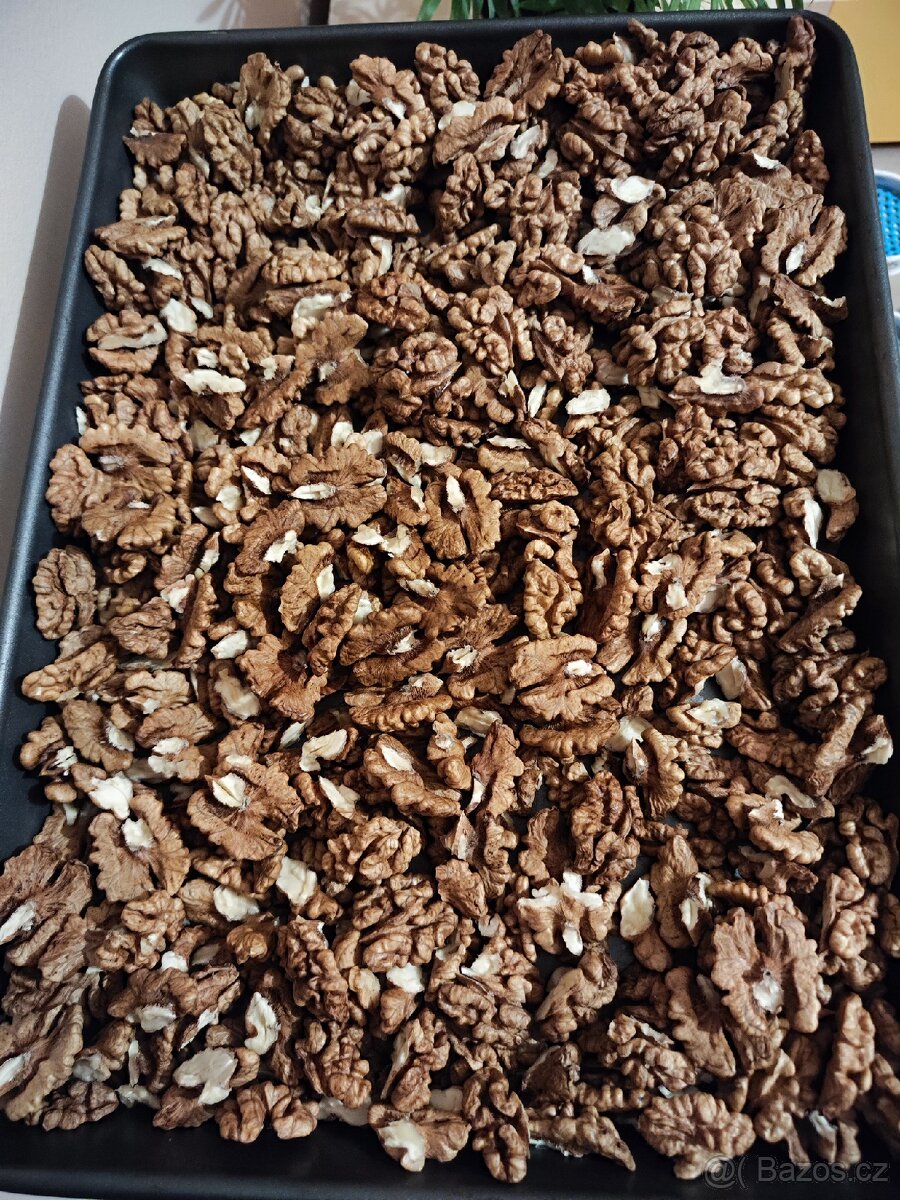 Letošní vlašské ořechy