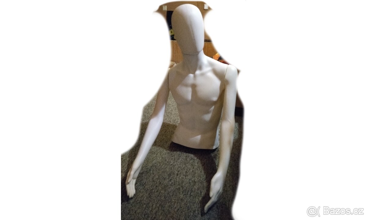 Pánské torzo figurína