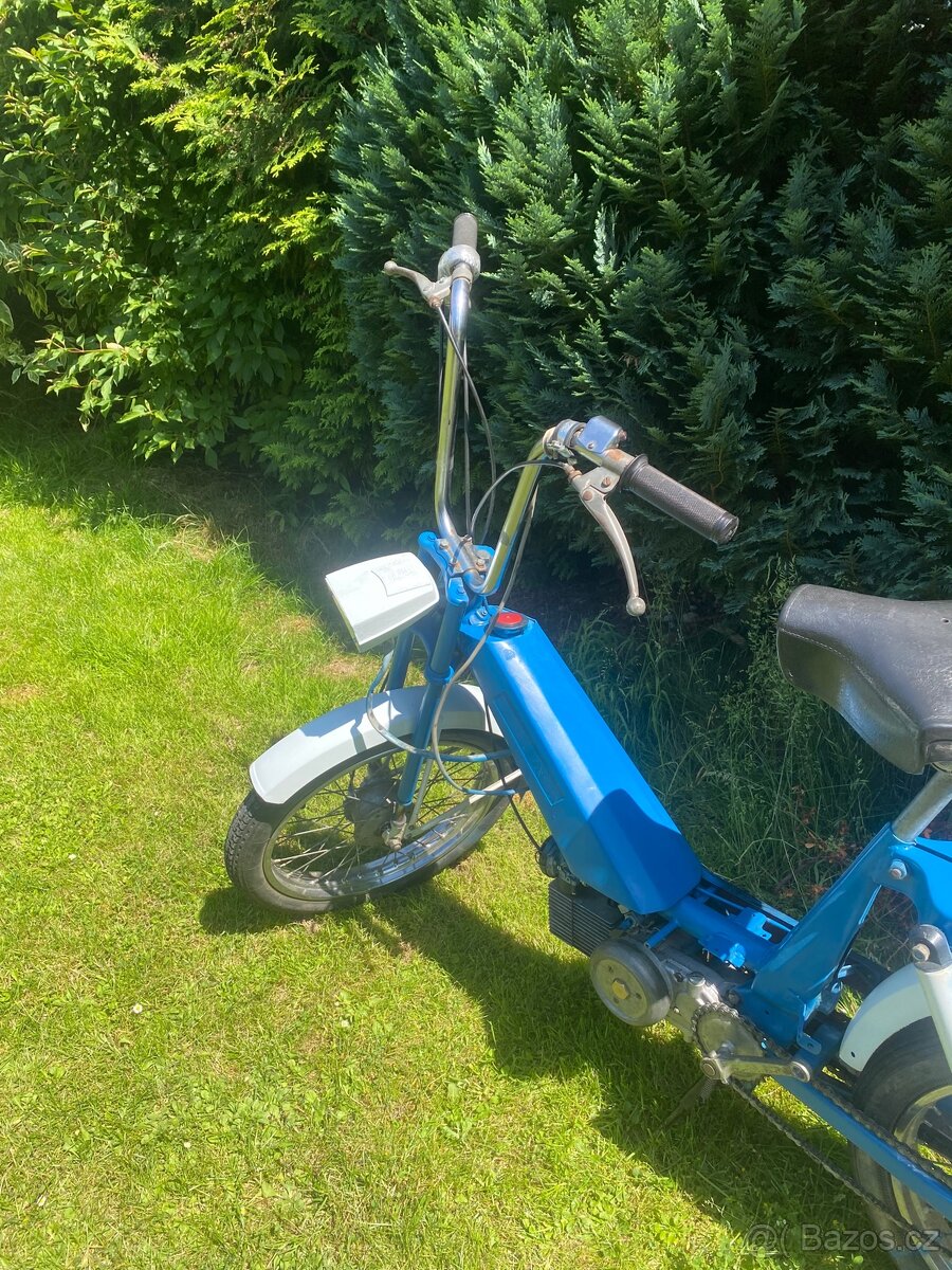 Babeta 207