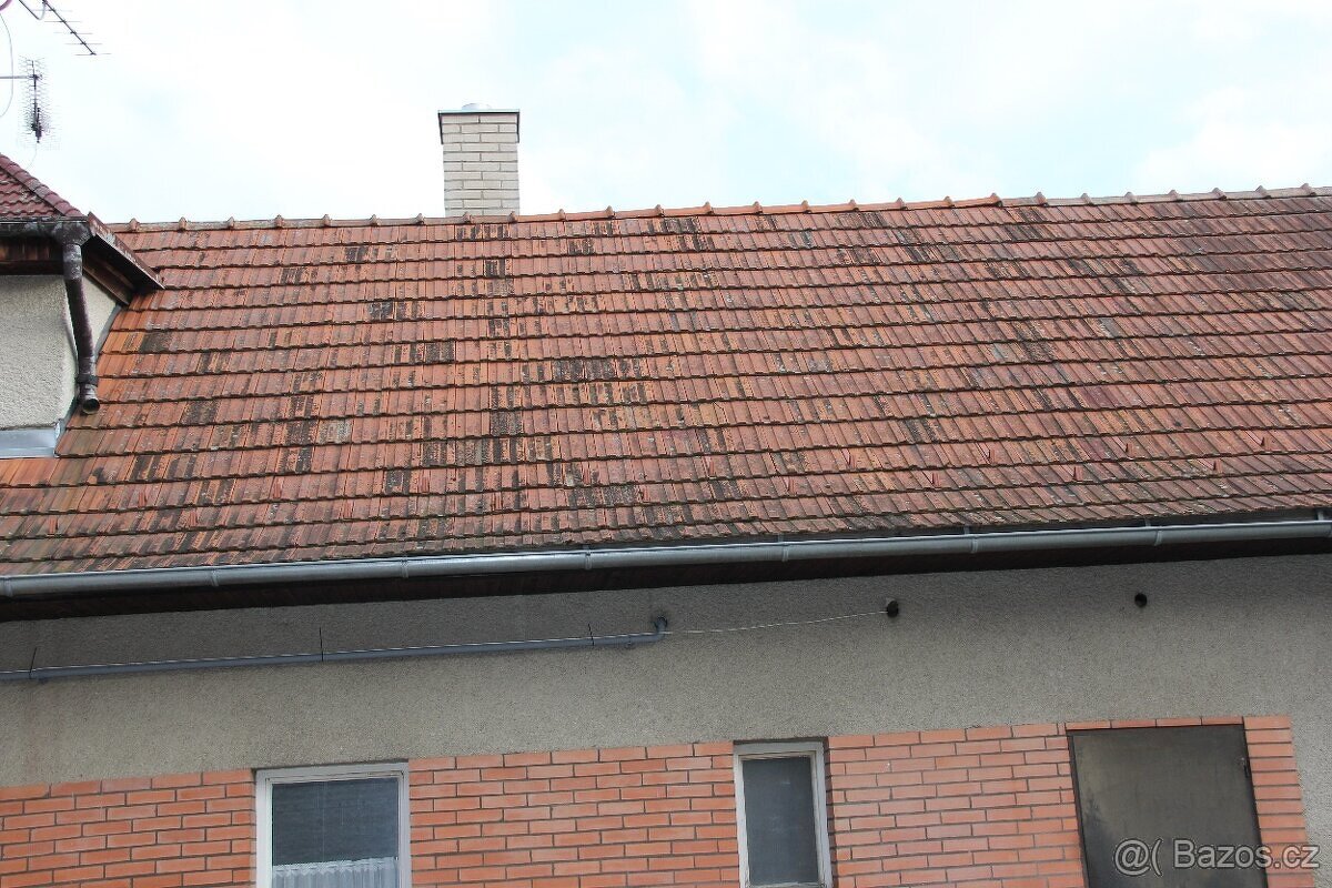 Křidlice
