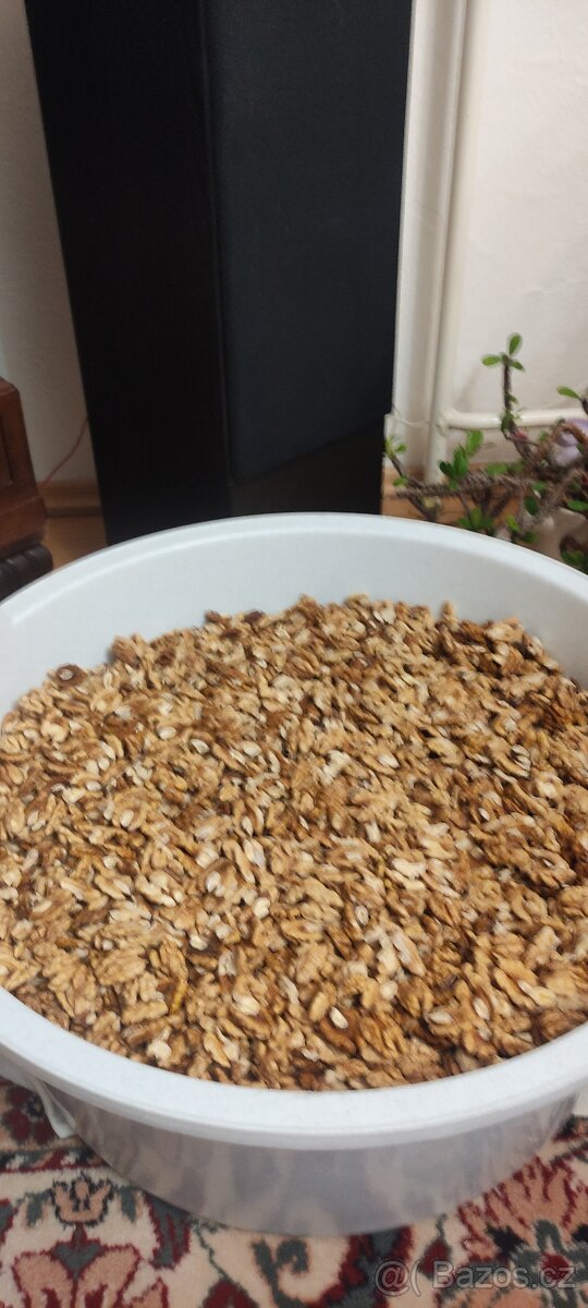 Vlašské ořechy loupané