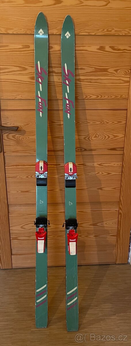 Lyže 170 Artis + hůlky 125 cm