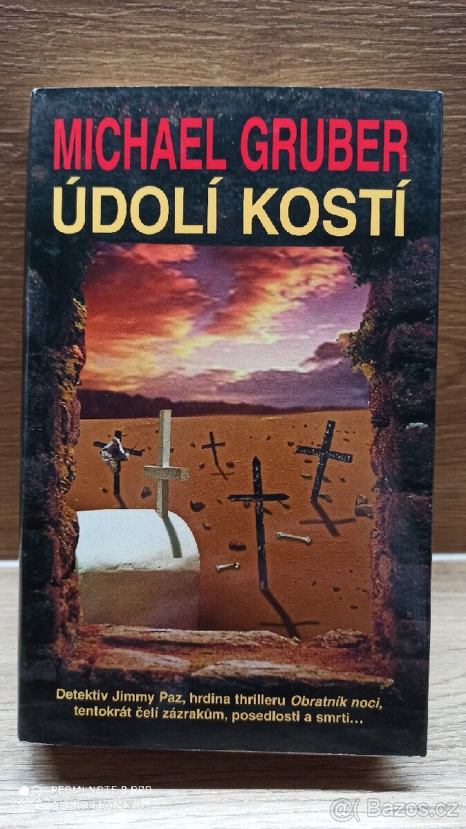 ÚDOLÍ KOSTÍ - Michael Gruber