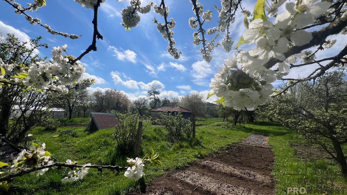 Prodej Rodinného domu s pozemkem 3004 m2 na samotě nedaleko 