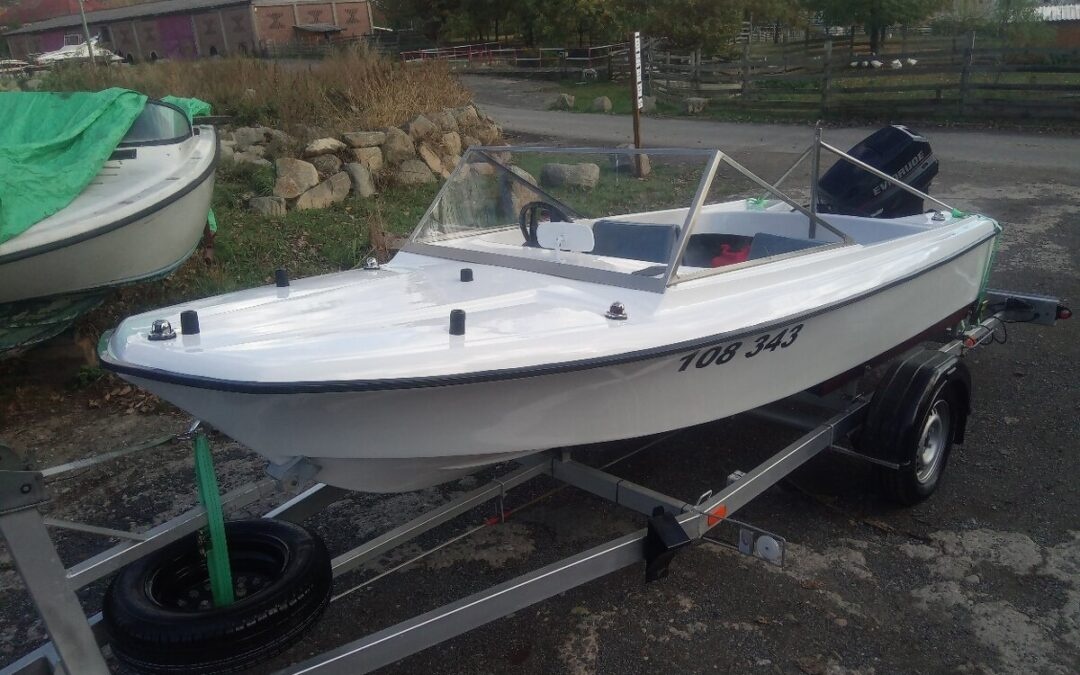 Sport 50 + Evinrude 50