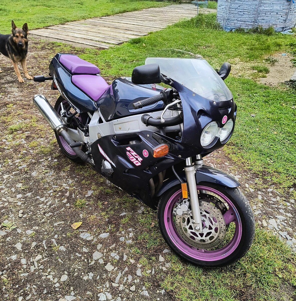 Yamaha FZR 600 Genesis