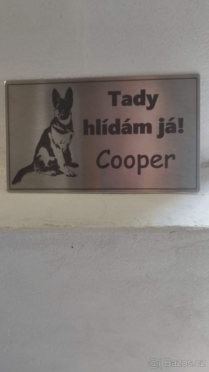 Gravírování