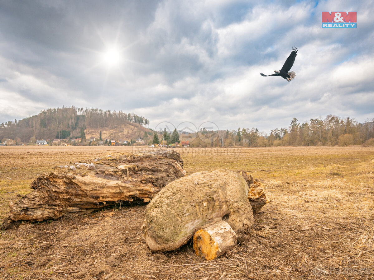 Prodej louky, 14575 m², Poříčí nad Sázavou