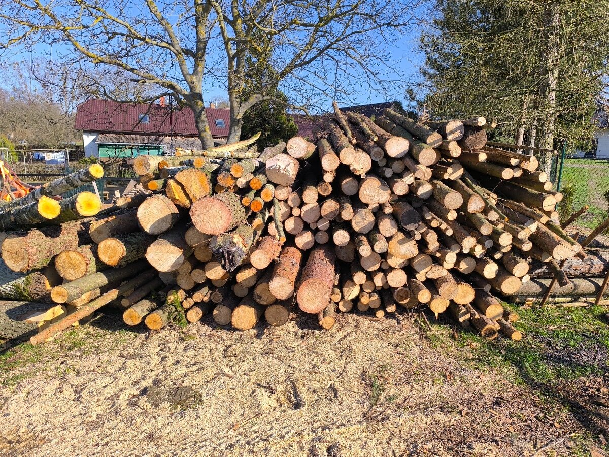 Palivové dřevo