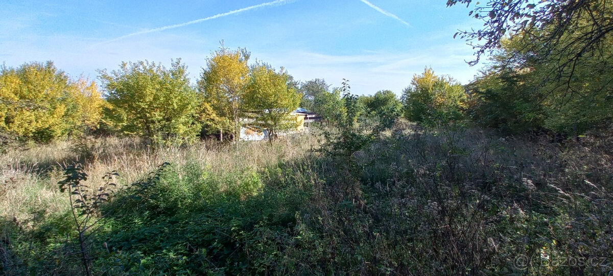 Pozemek - nájem - včely - okr. Litoměřice