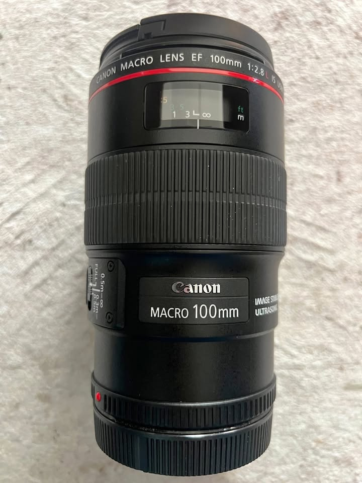 Canon EF 100mm f/2.8 L Macro USM
