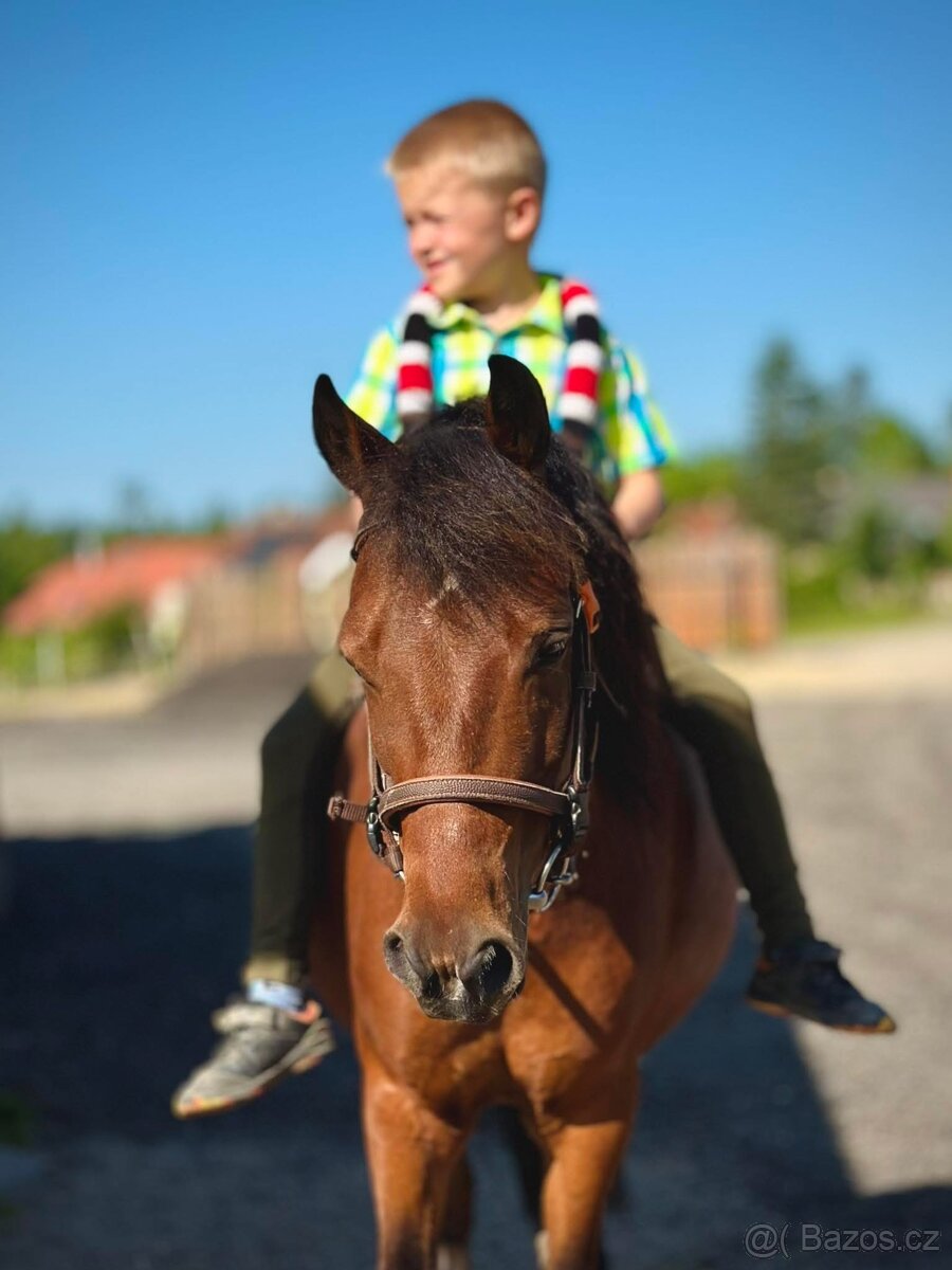 Hodná osmiletá ponička