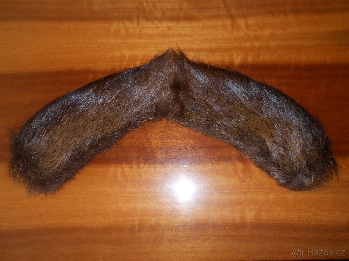 Límec z nutrie.