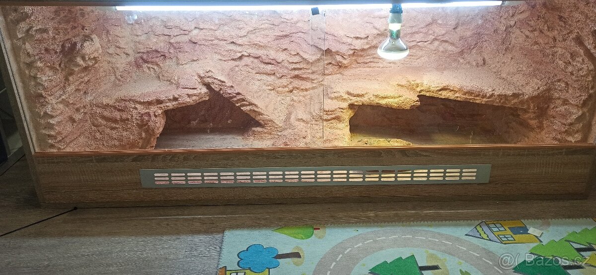 Terarium pro agamy 160x60x60