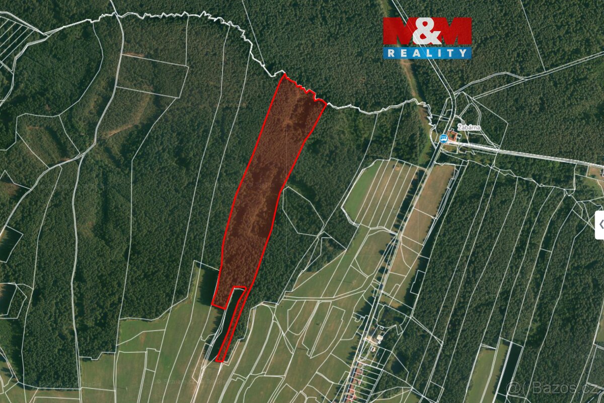 Prodej lesa, 22334 m², Klikov - Suchdol nad Lužnicí