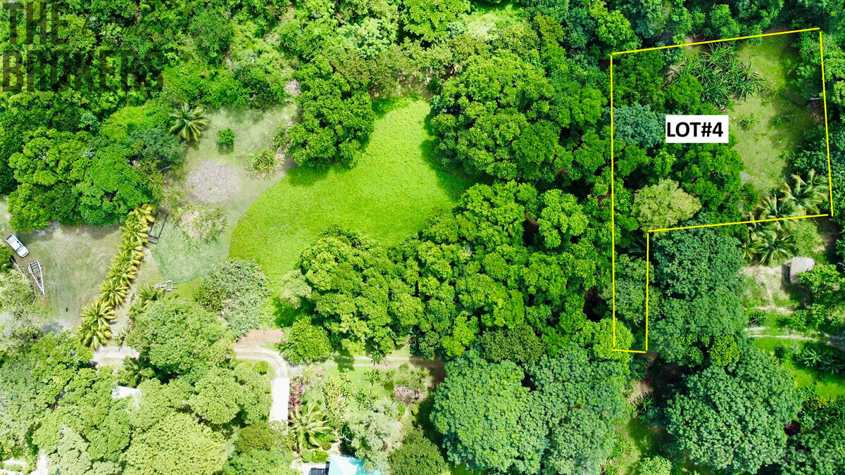 Punta Blanca, Lot 4