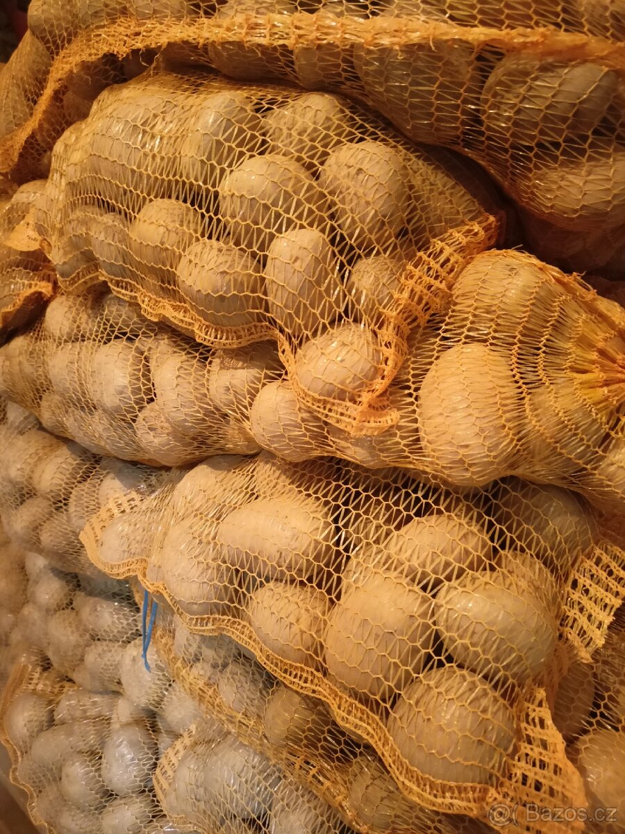 BRAMBORY NA USKLADNĚNÍ