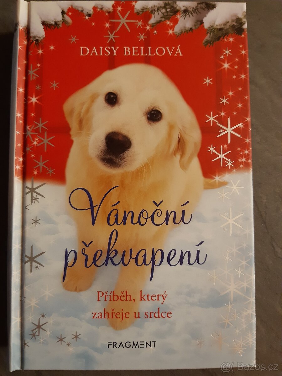 Vánoční překvapení TOP STAV