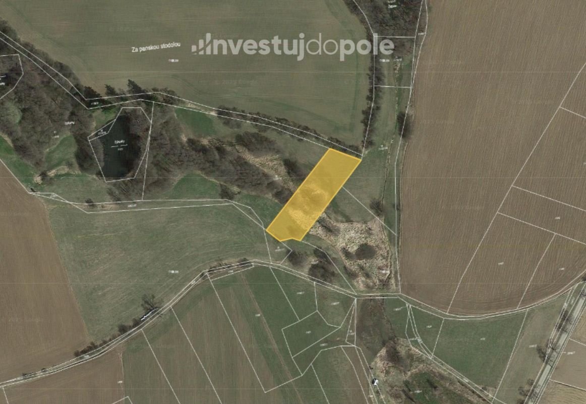 Prodej louky 3 009 m², Buřenice, ev.č. 2025-02-14