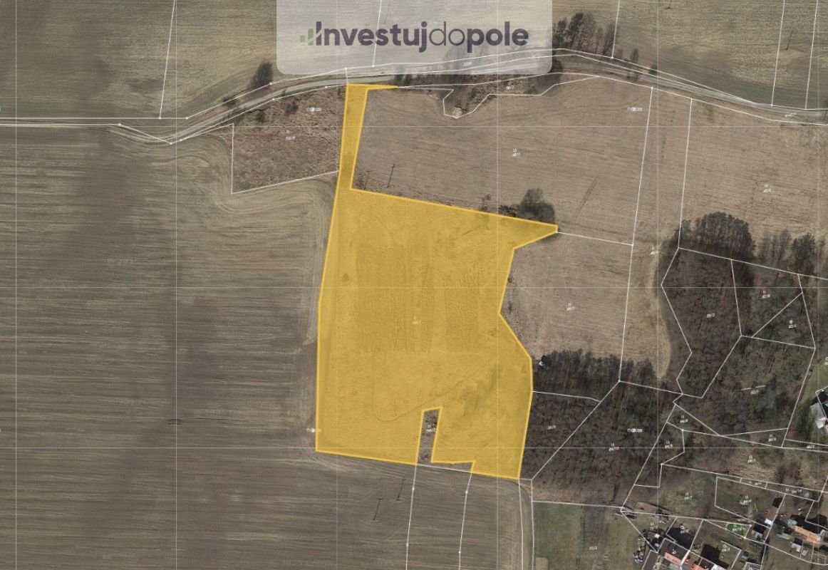 Prodej louky 19 608 m², Trstěnice, ev.č. 2025-05-27