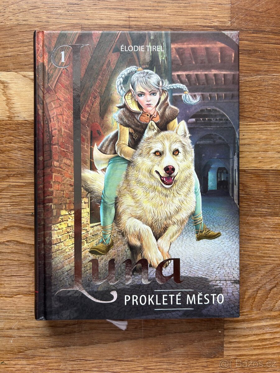 Kniha: Luna prokleté město