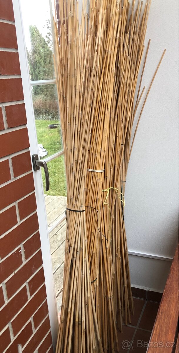 Bambus ke zpracování