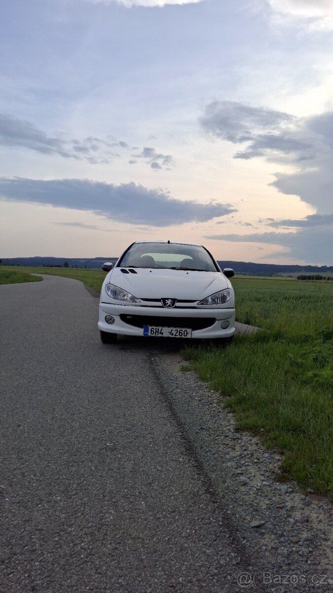 Peugeot 206 1.4 i (55 kW)