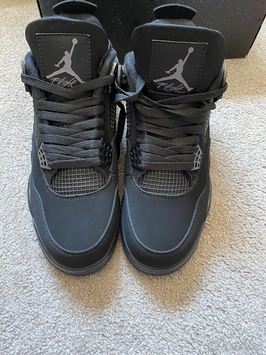 Air Jordan 4 black cat
