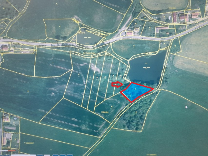 NA PRODEJ - POZEMKY 2.006 m2, BOŠOVICE U ČÍŽOVÉ (PÍSECKO)