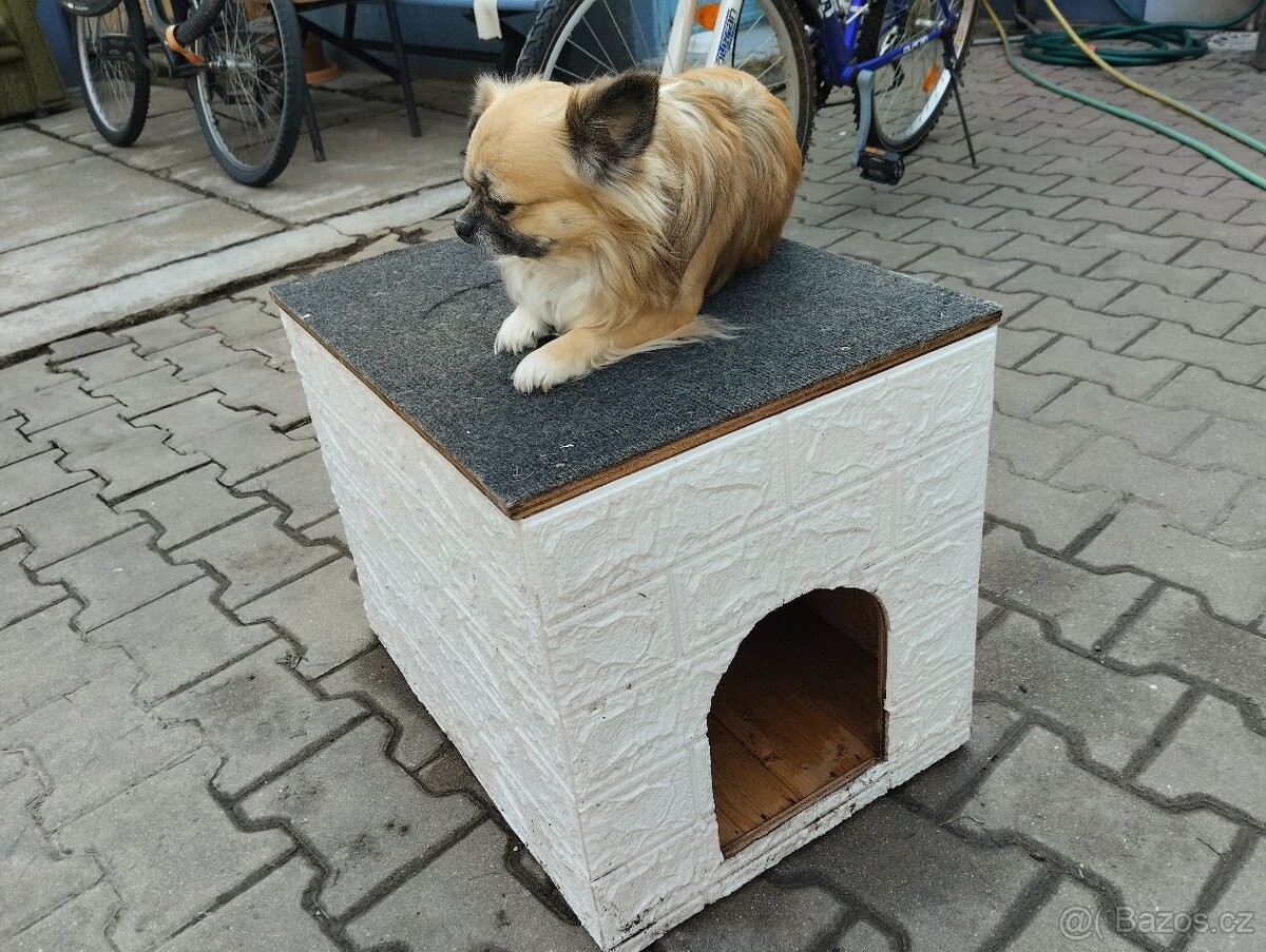 Bouda pro čivavu