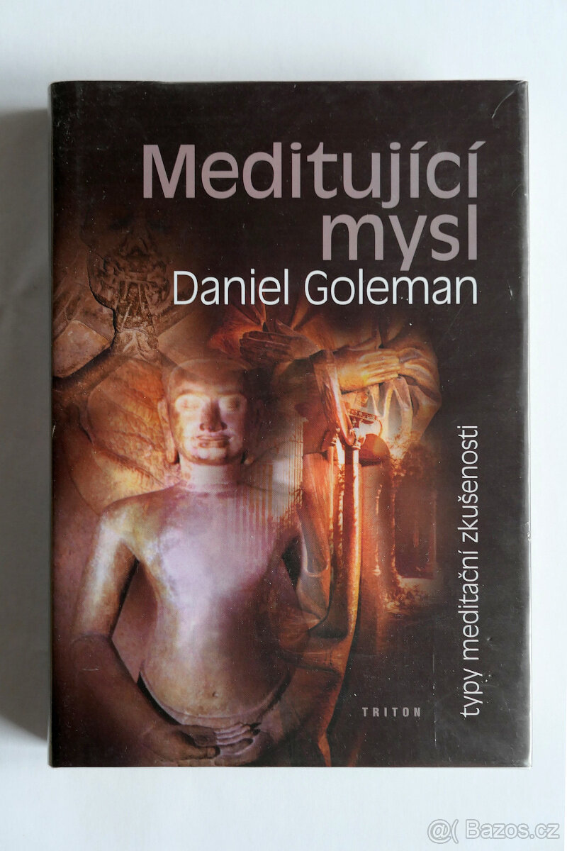 Meditující mysl - typy meditační zkušenosti