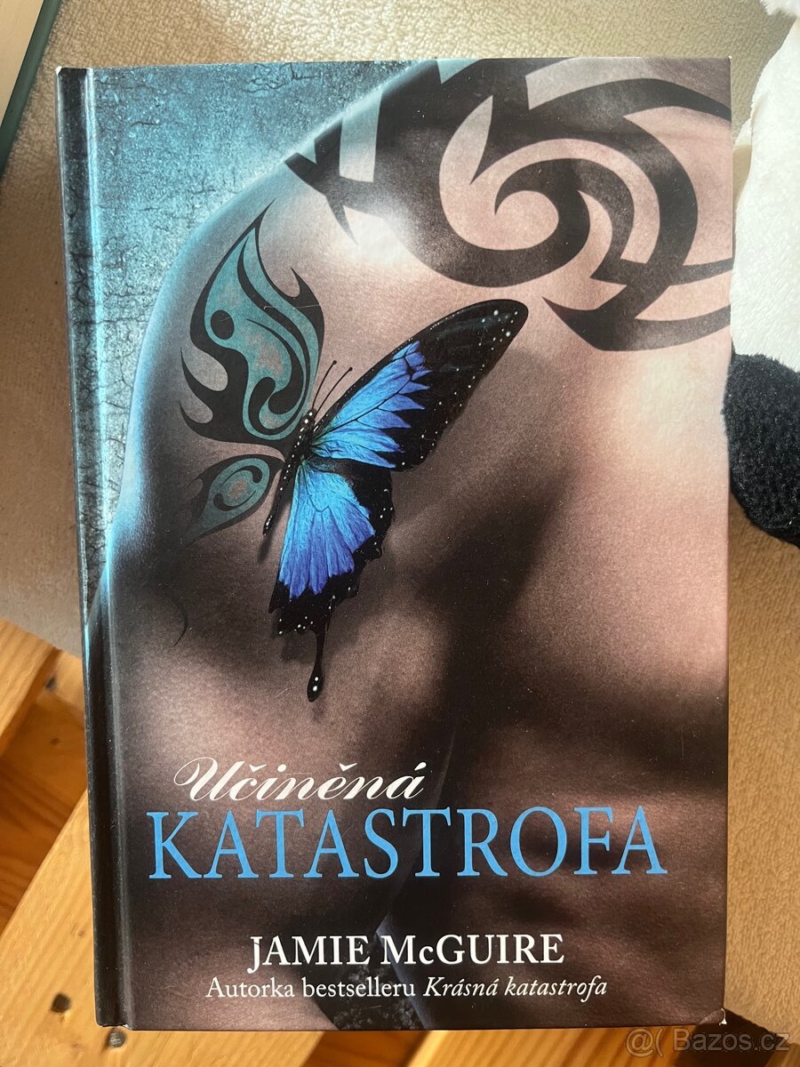 Jamie McGuire - Učiněná katastrofa