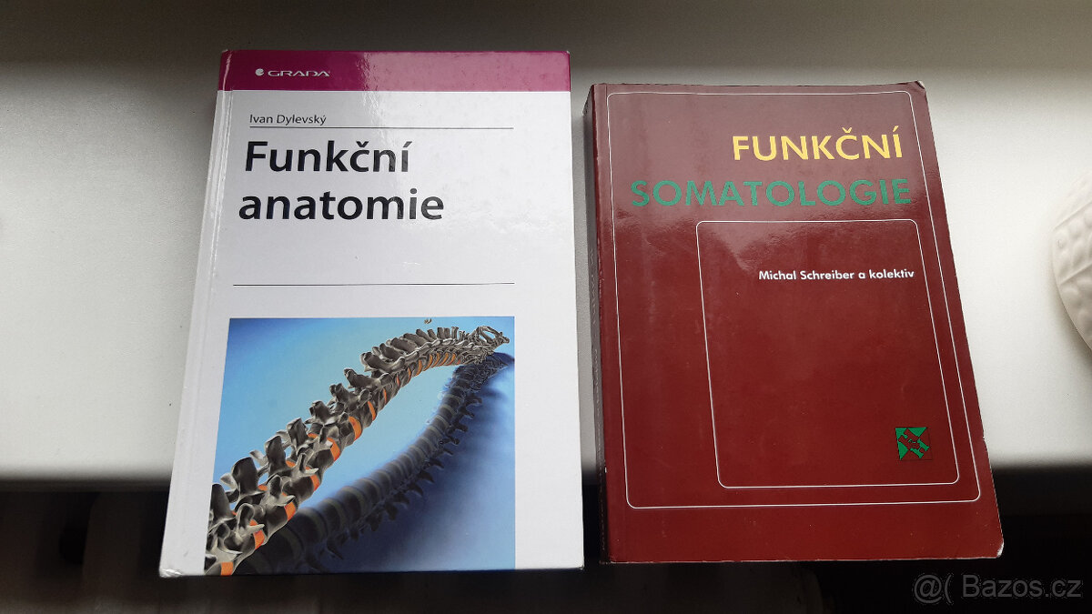 Funknčí anatomie (Dylevský), Funkční somatologie (Schreiber)