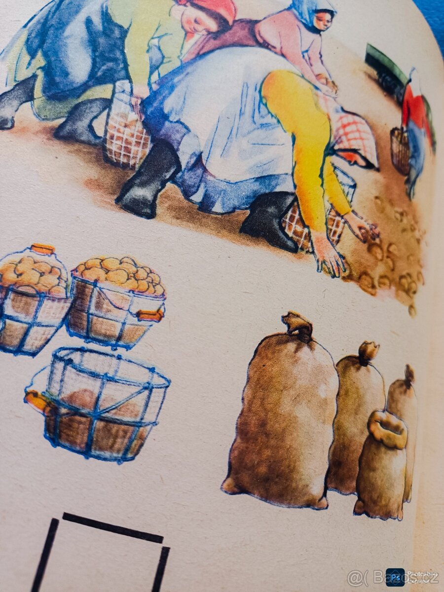 Kniha POČETNICE rok vyd 1969, cena 399 Kč (17 €), i na Slove