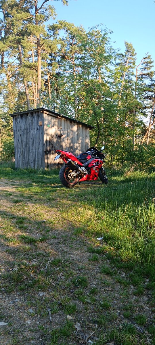 Honda CBR 954