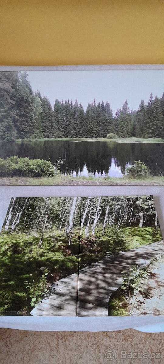 3 OBRAZY s místy známé ŠUMAVSKÉ KRAJINY